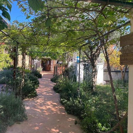 فيلا بينيسالمفي Casa Radha المظهر الخارجي الصورة